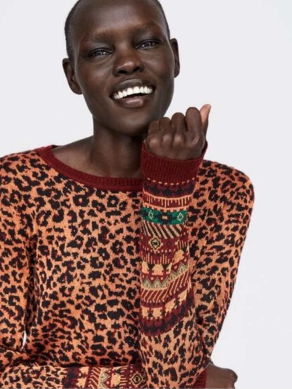 Zara Leopard Print Crewneck Sweater
